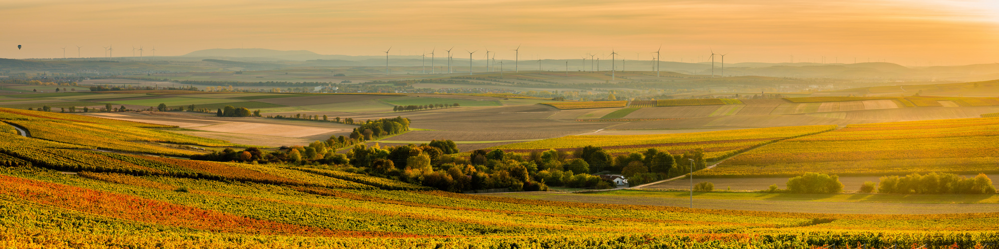 Goldenes Rheinhessen (9.4)