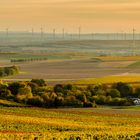 Goldenes Rheinhessen (9.4)