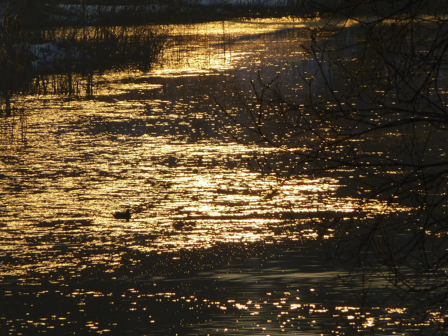 goldenes Wasser