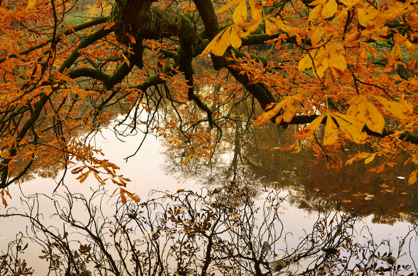 Goldenes Wasser