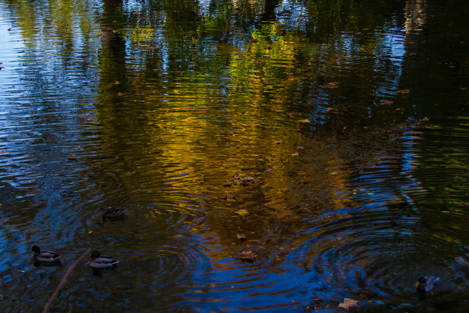 Goldenes Wasser