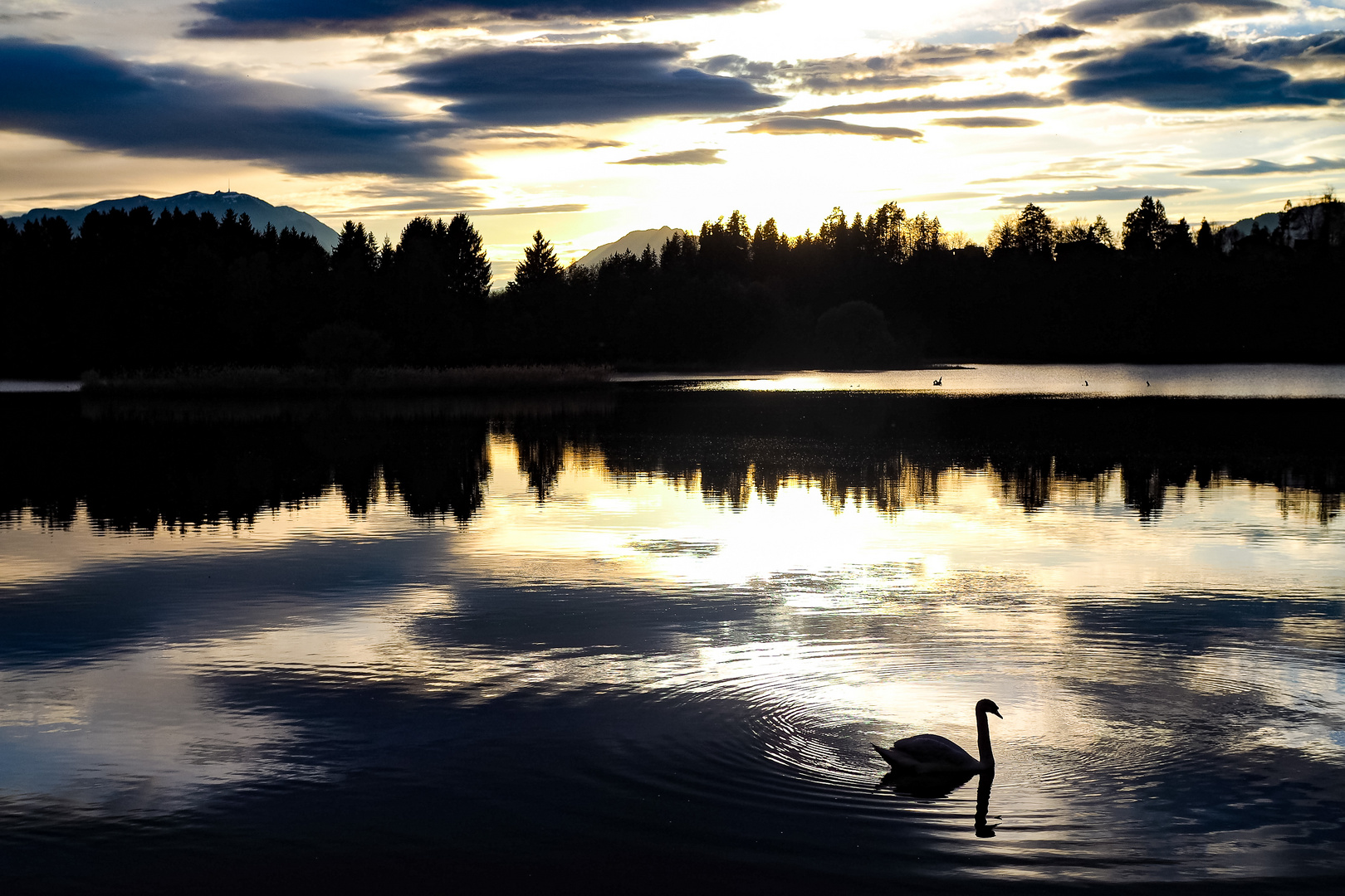 Goldenes Wasser