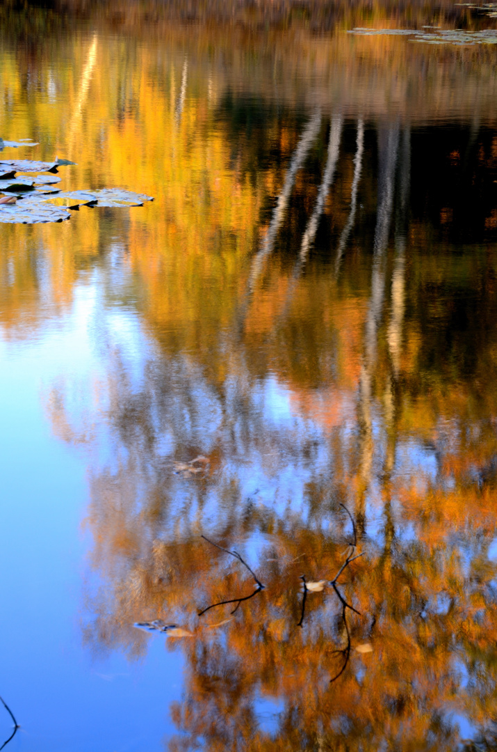 Goldenes Wasser