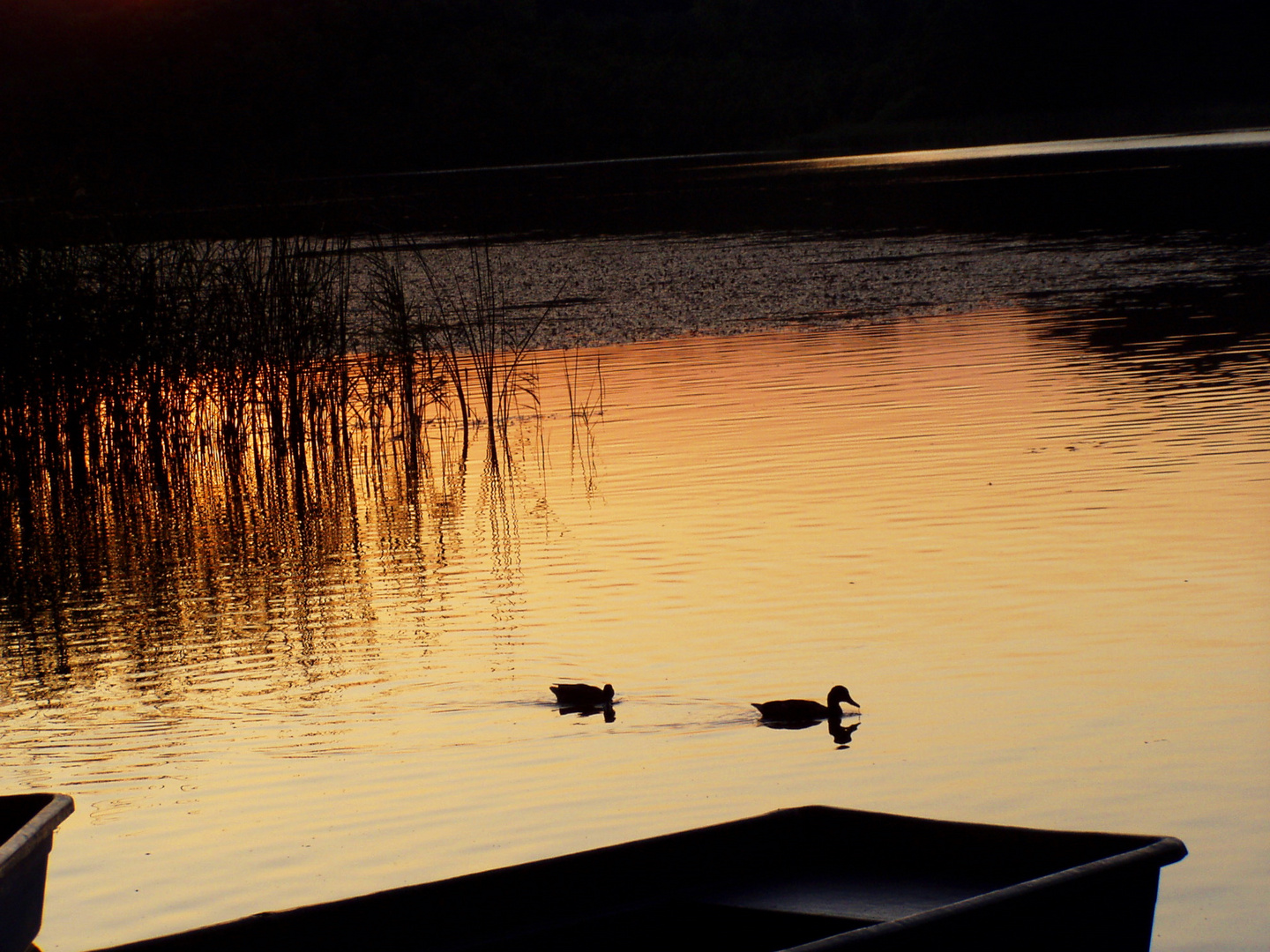 Goldenes Wasser in Mecklenburg