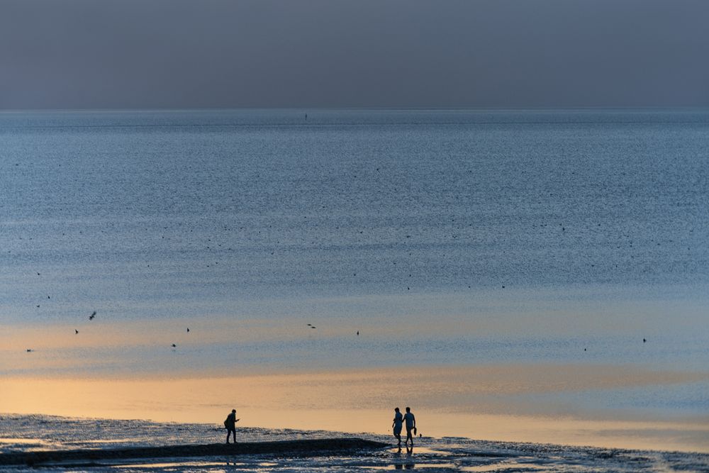 goldenes Wasser - weites Meer