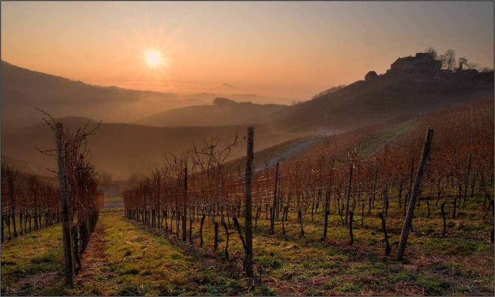 Goldenes Winterlicht