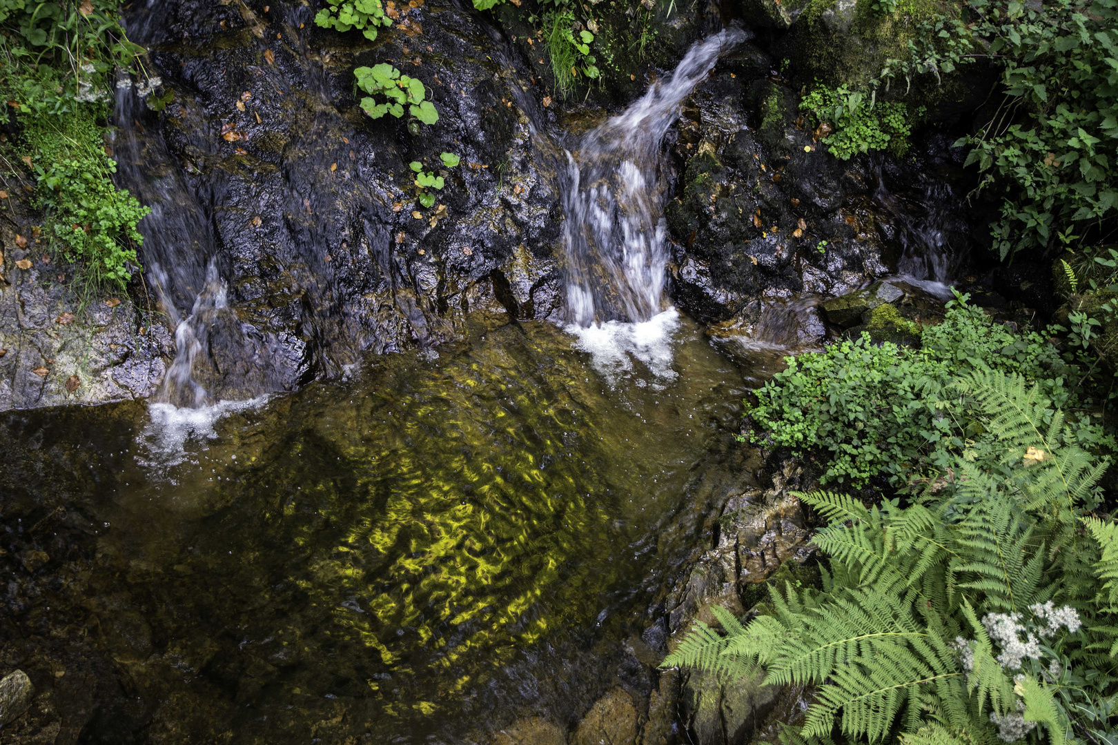 Goldenes_Wasser