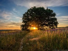 GoldenHour