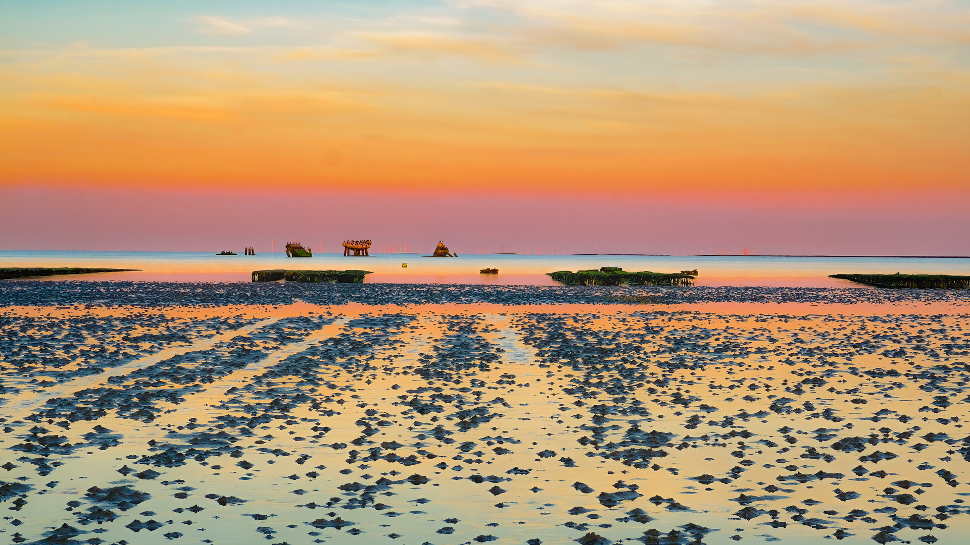 Goldenhour Weltnaturerbe Wattemeer II