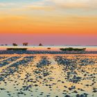 Goldenhour Weltnaturerbe Wattemeer II