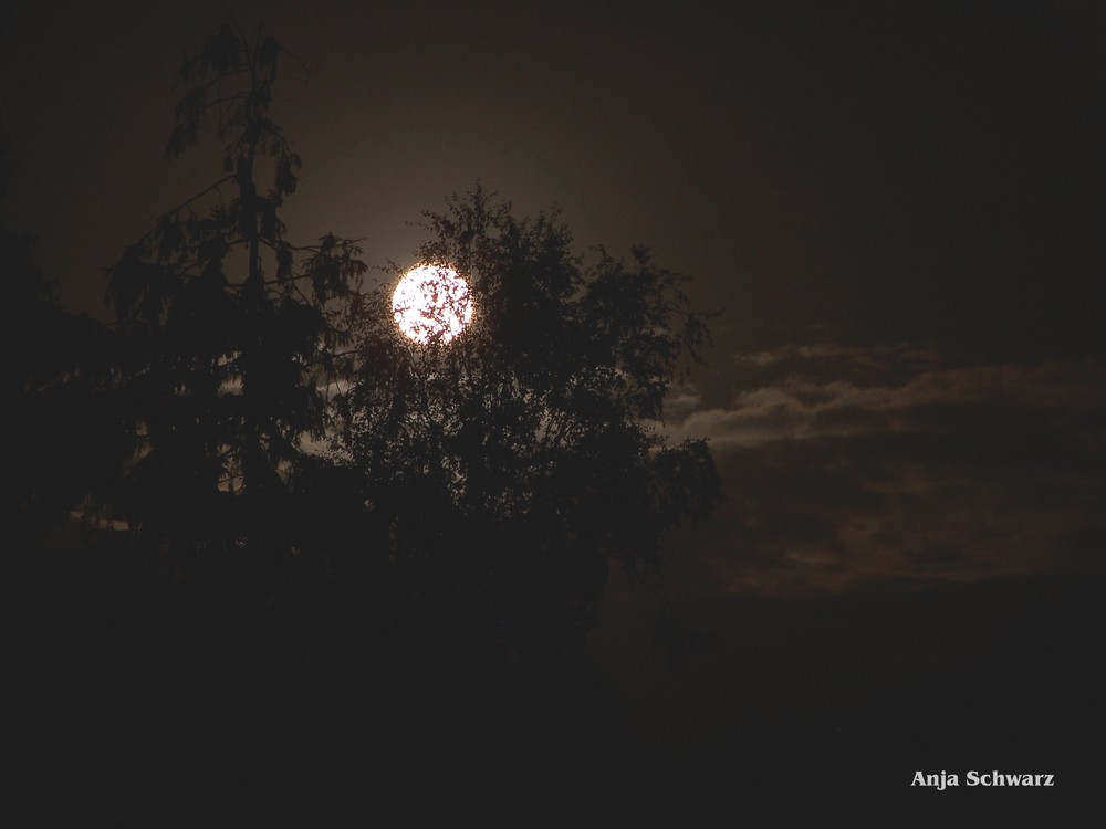 Goldenstedt bei Nacht