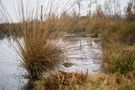 Goldenstedter Moor von Frank Stauga 