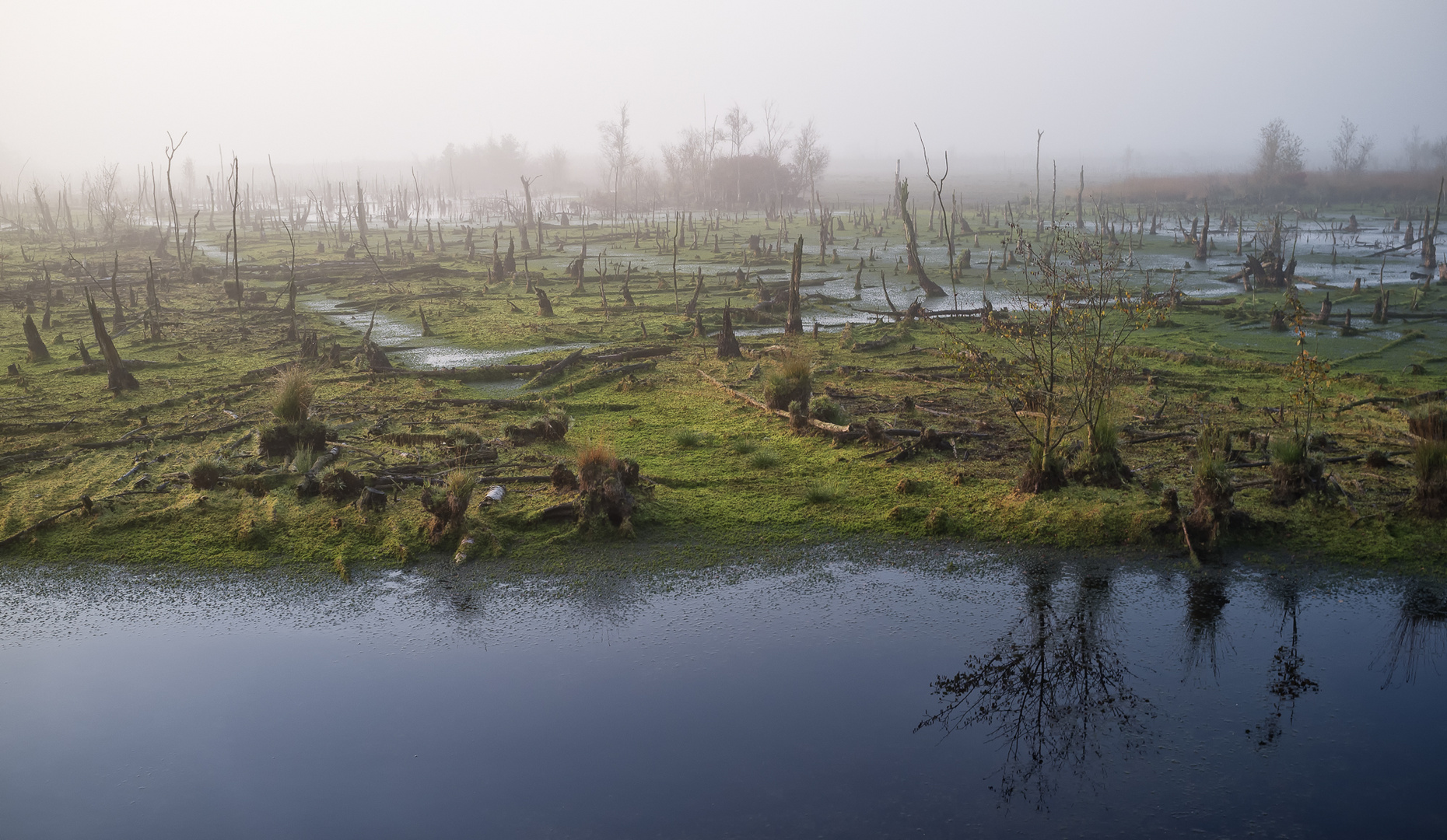 goldenstedter Moor