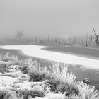 Goldenstedter Moor im frostigen Nebel