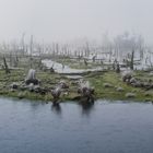 goldenstedter Moor im Winter