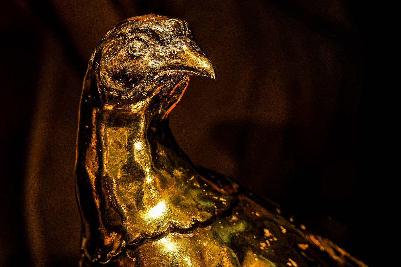 Goldfasan im Friedenstein