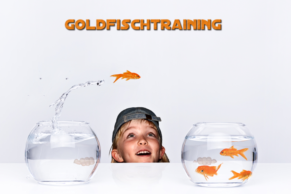 Goldfischtraining