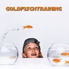 Goldfischtraining