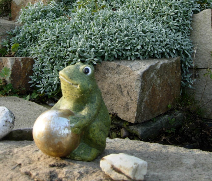 Goldfrosch