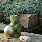 Goldfrosch