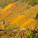 andere Landschaft