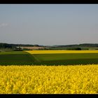 Goldgelbes Hohenloher Land