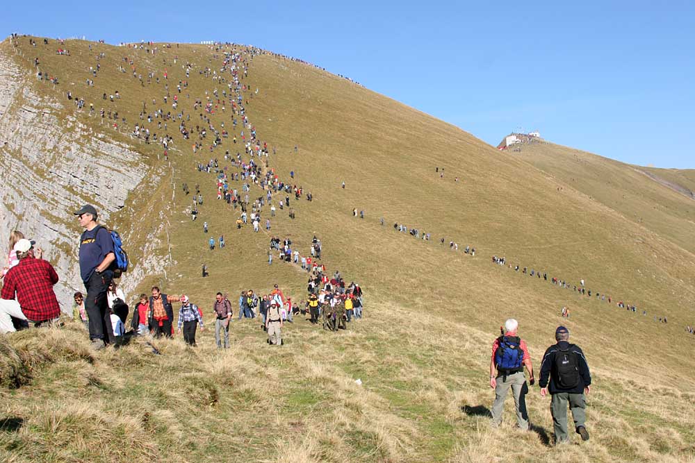 Goldgräberstimmung auf der Axalp