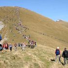 Goldgräberstimmung auf der Axalp