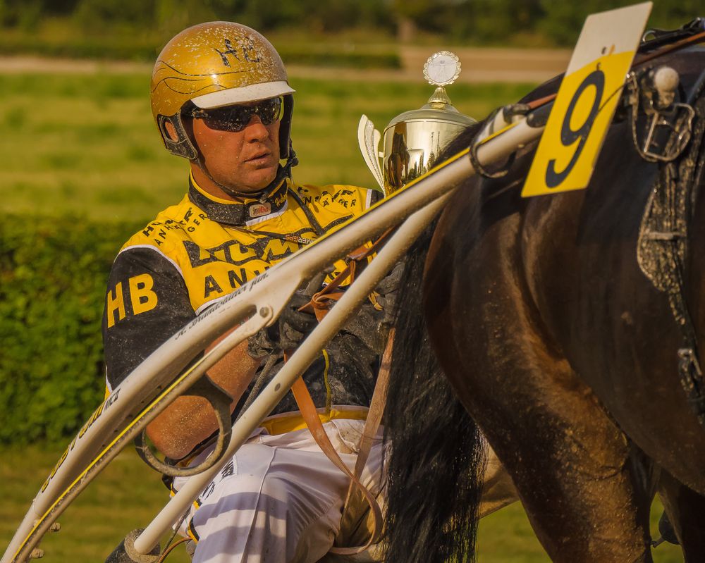 Goldhelm Foto & Bild world, österreich, spiegelung Bilder auf