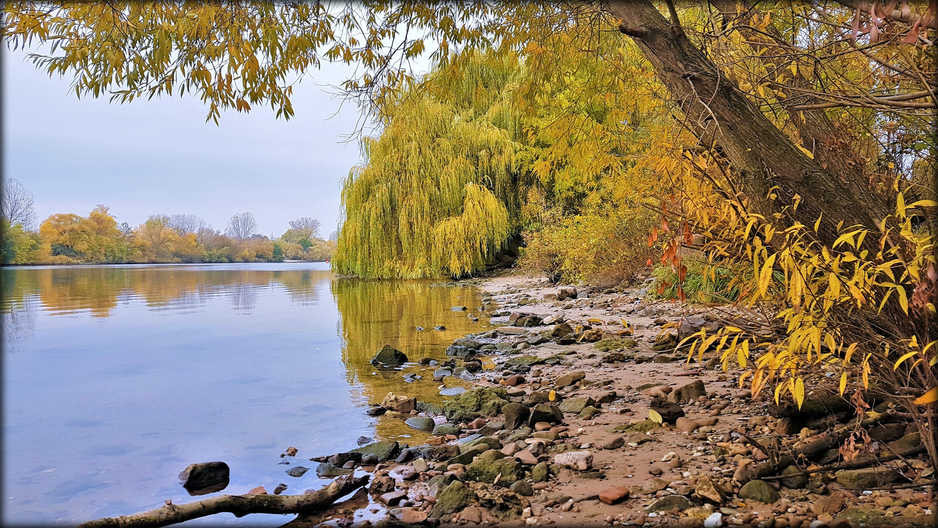 gold.herbst am Main