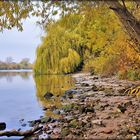 gold.herbst am Main