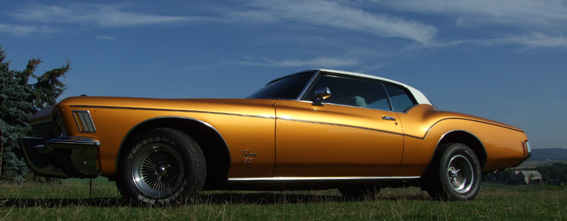 gOldie Buick Rivier GS