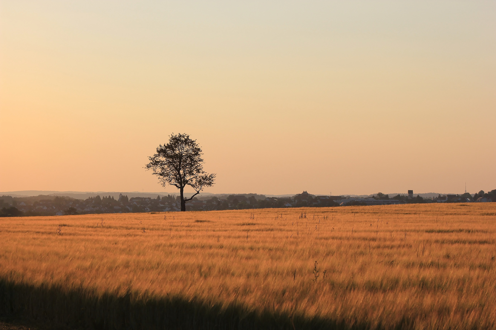 goldige Aussicht