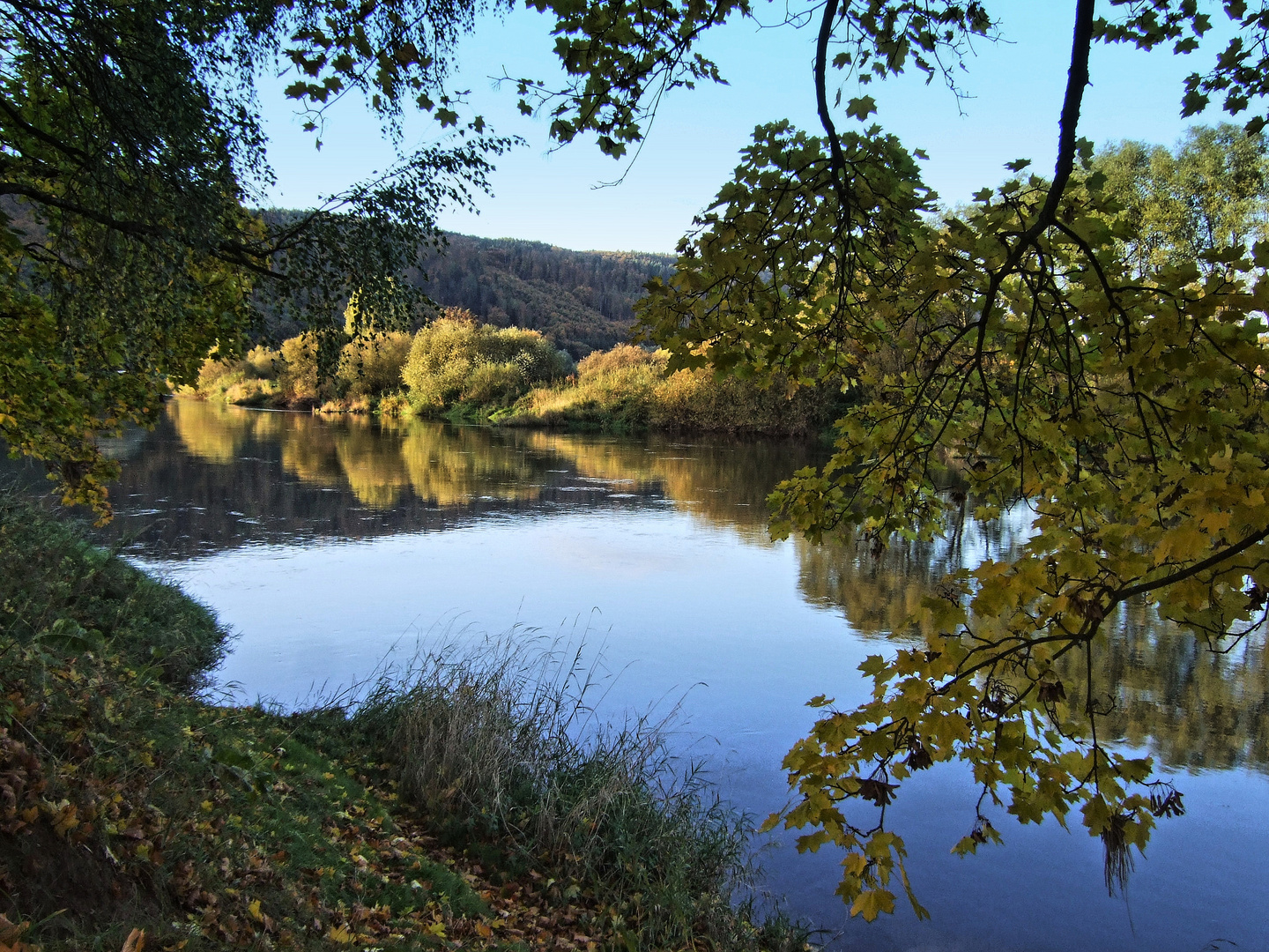 -Goldiger Herbst an der Weser-