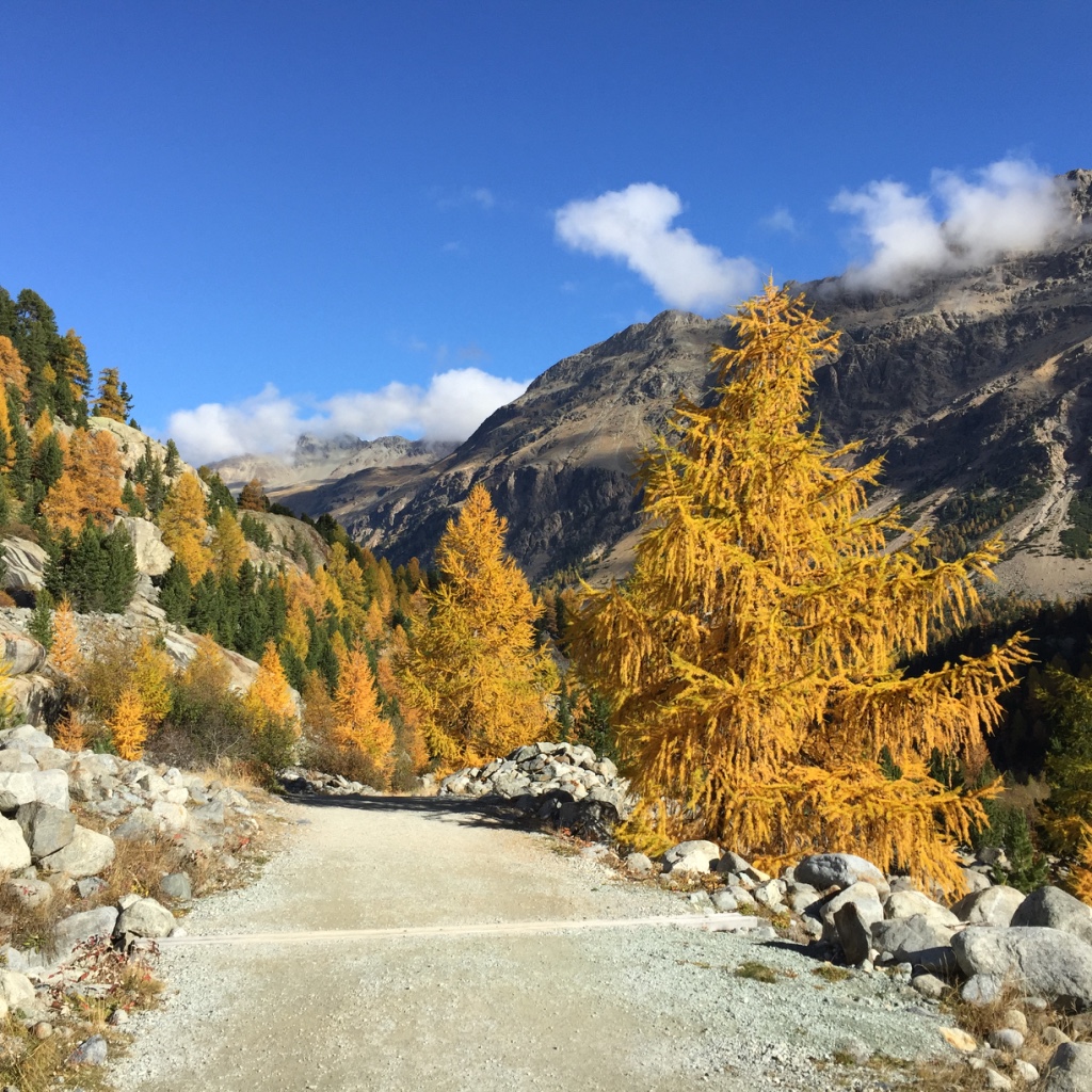 Goldiger Herbst Engadin 2015