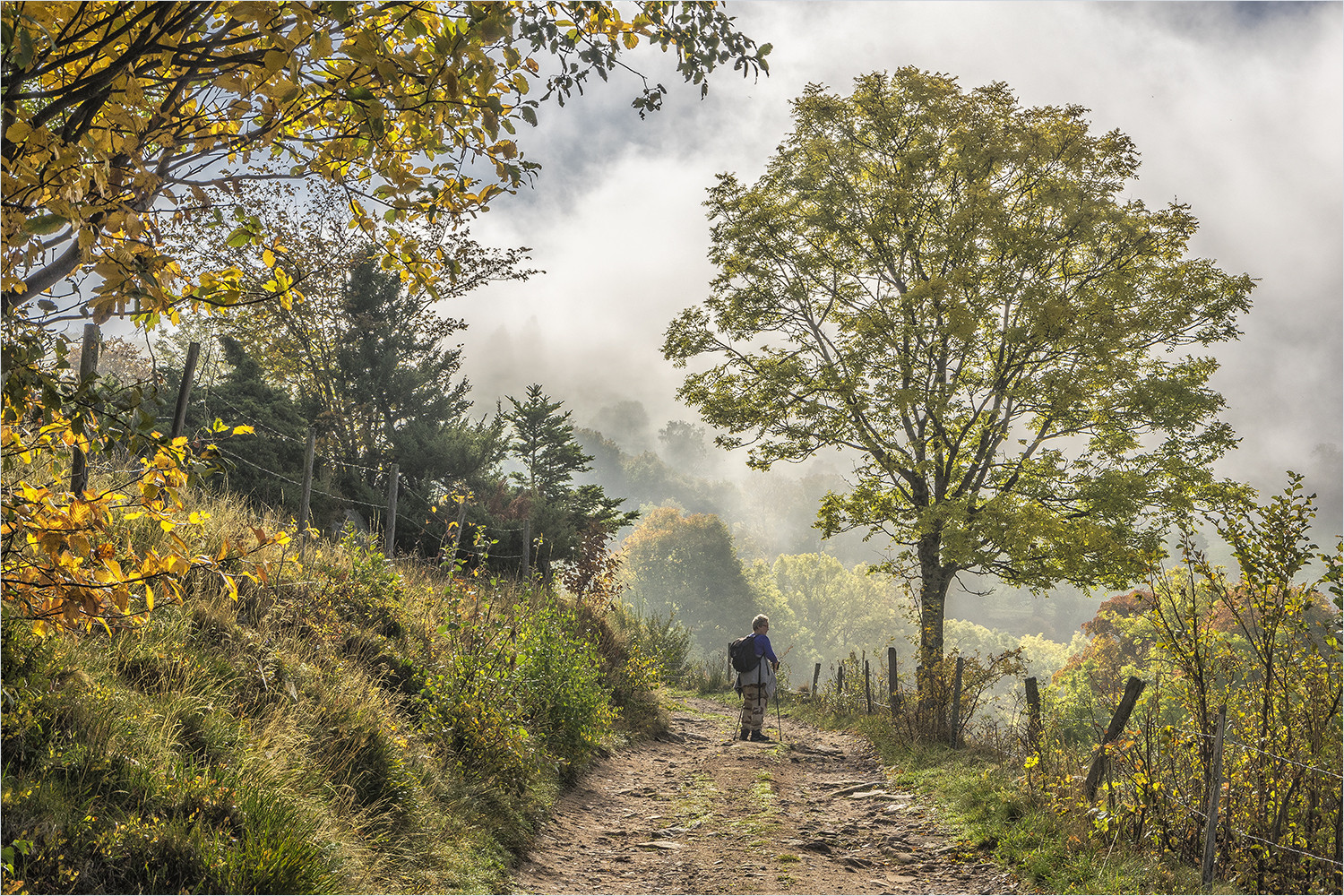 goldiger herbst