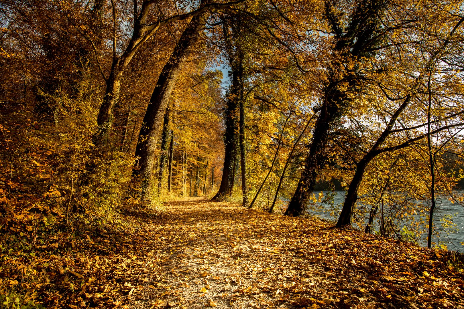 goldiger Herbst, Schweiz