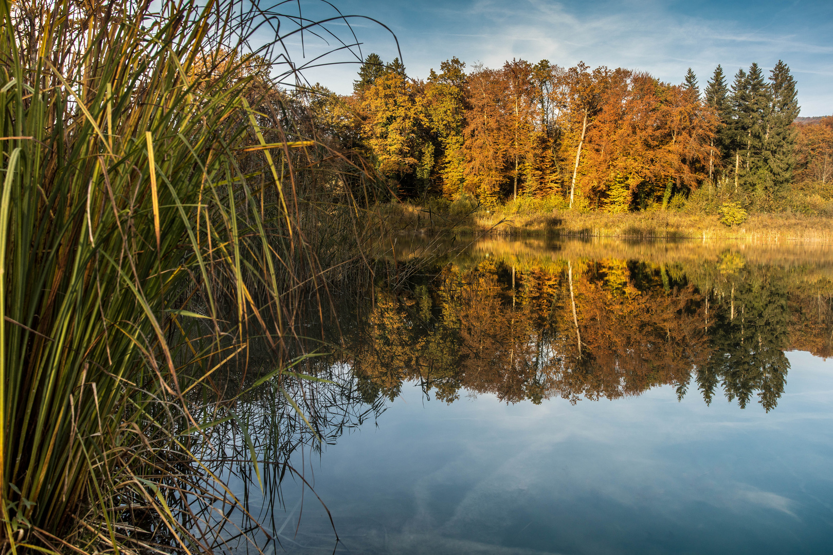 goldiger Herbst, Schweiz