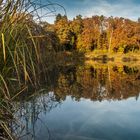 goldiger Herbst, Schweiz