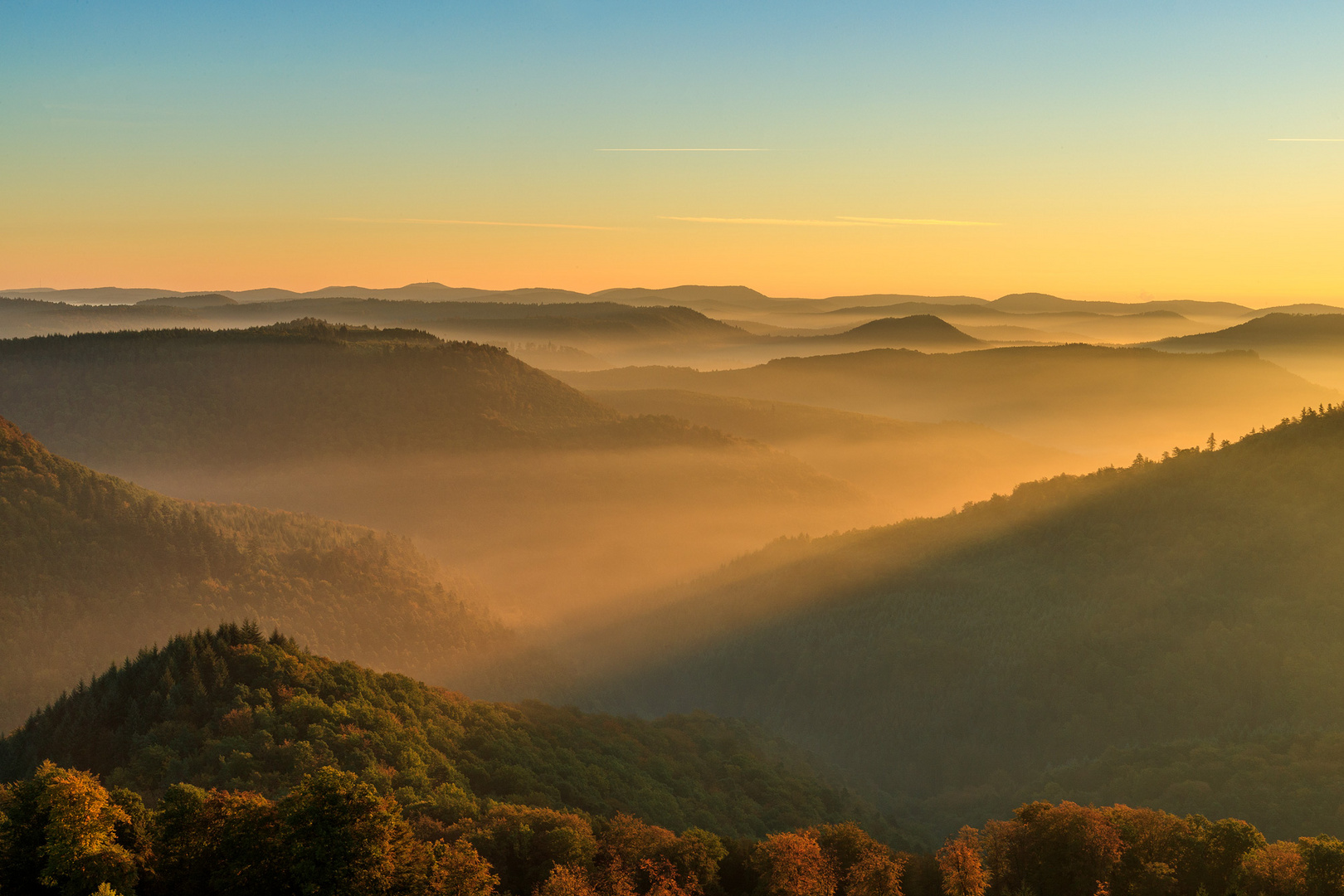 goldiger nebel