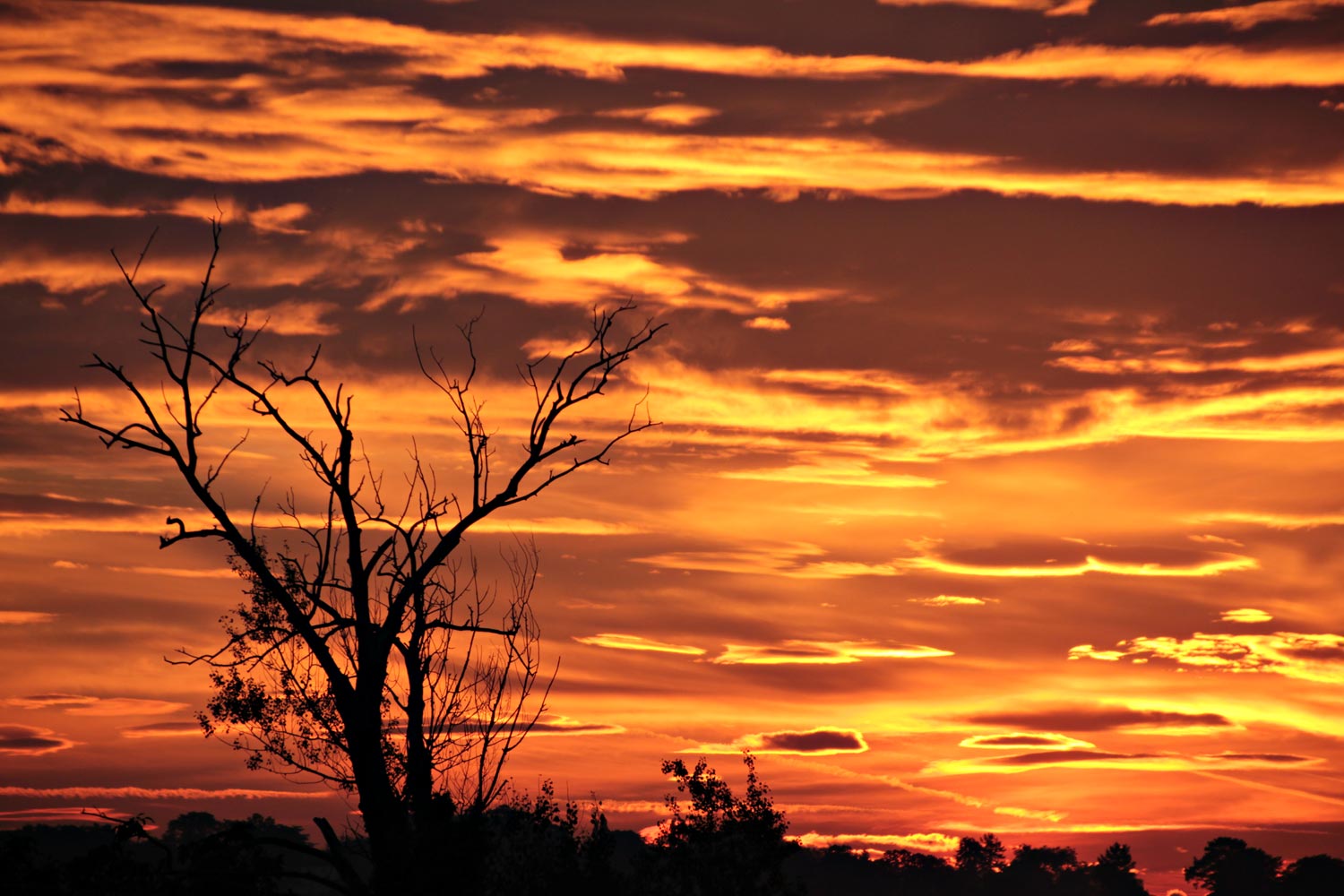 goldiger Sonnenaufgang 