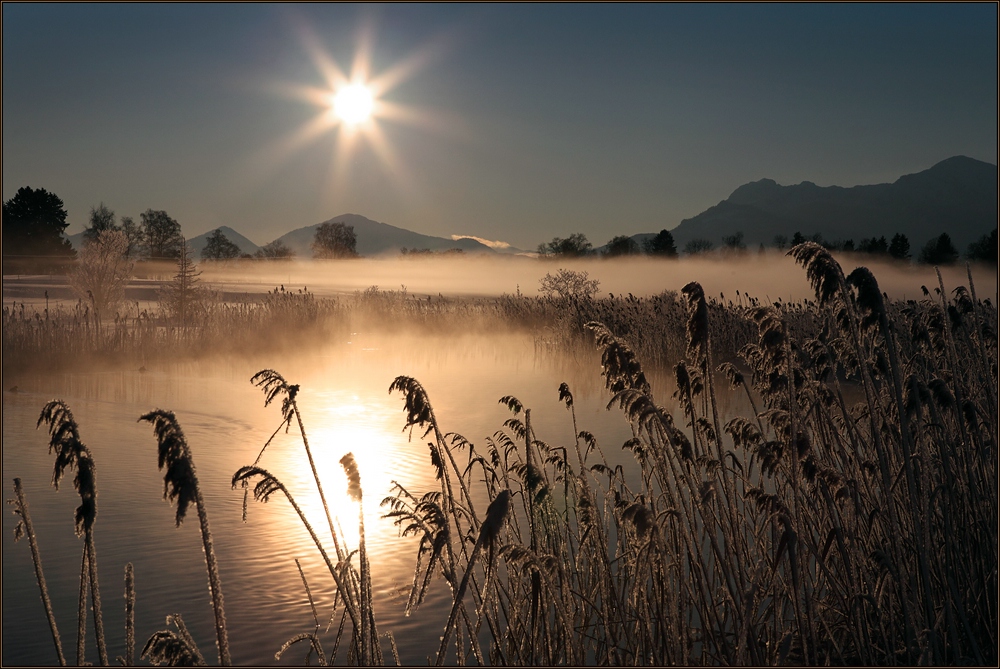 ~ Goldiger Wintermorgen I ~