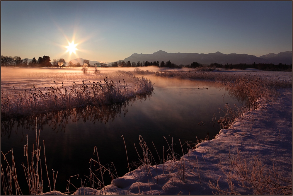 ~ Goldiger Wintermorgen III ~