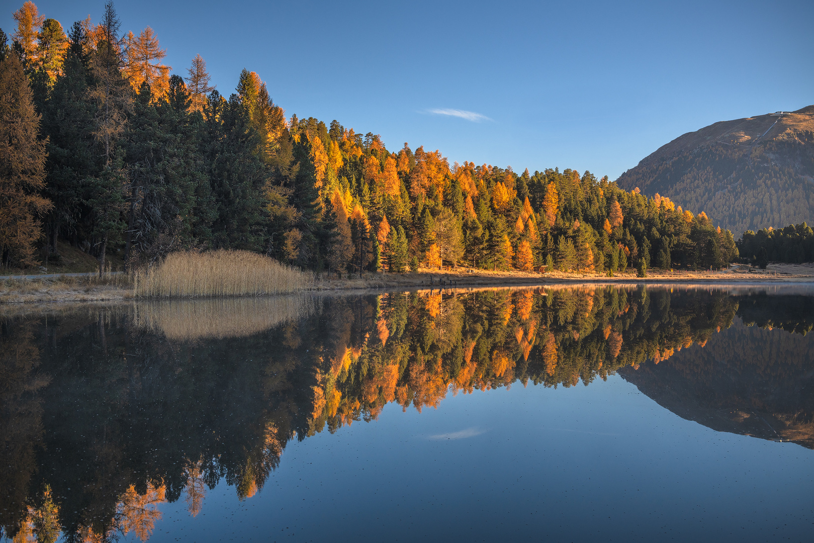 Goldiges Engadin