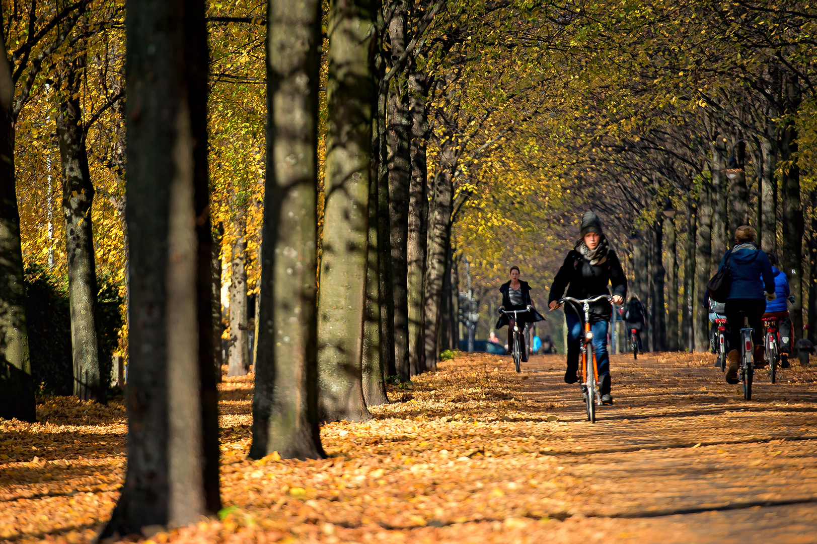 Goldiges Fahrradfahren!