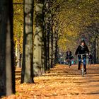 Goldiges Fahrradfahren!