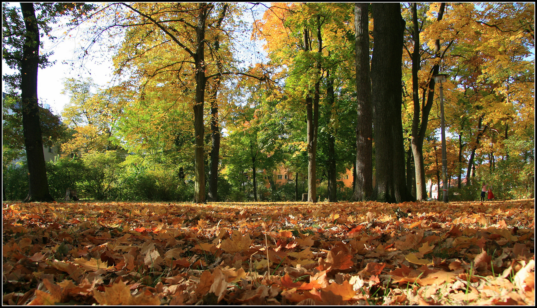 Goldmann Park