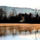 Goldnebel am Sternenweiher