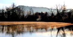 Goldnebel am Sternenweiher