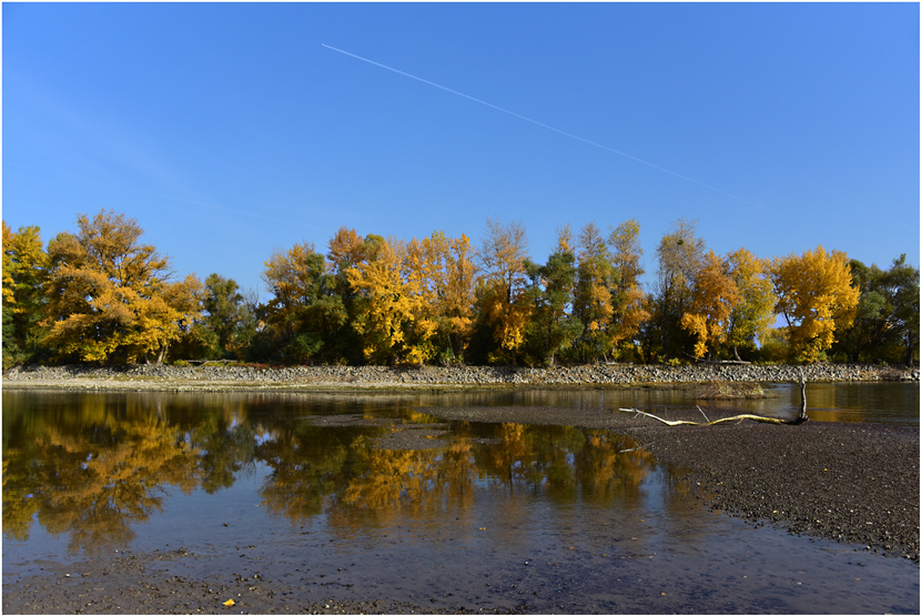 Goldner Herbst